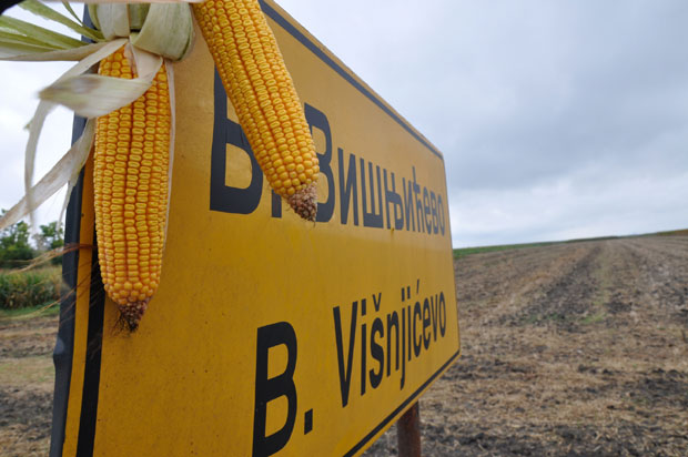 Банатско Вишњићево: Жалба пала, ништа од власништва
